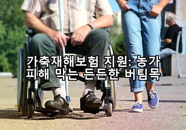 가축재해보험 지원: 농가 피해 막는 든든한 버팀목
