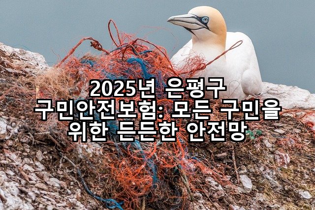 2025년 은평구 구민안전보험: 모든 구민을 위한 든든한 안전망